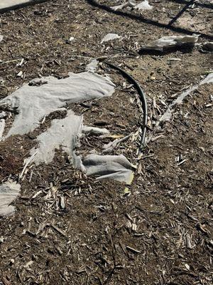 ...still....Sprinkler hoses exposed, no landscaping. This place has turned into a dump!