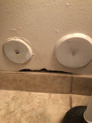 black mold formed all throughout the guest bathroom and in my daughter's room which is interconnected with the bathroom