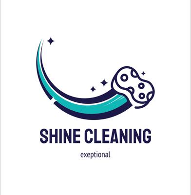 Shine cleaning mn