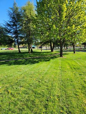 Stewart Heights Pool