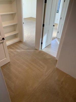 Domingo's Carpet Care & Janitorial Services