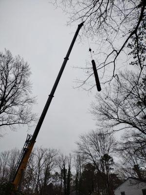 Ramirez's Tree Service