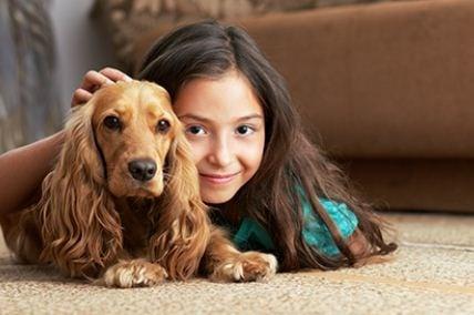 Company's Coming Carpet Cleaning