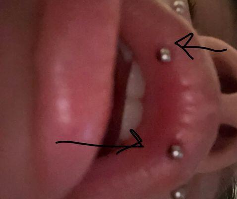 Gold Dust Tattoos & Fine Art