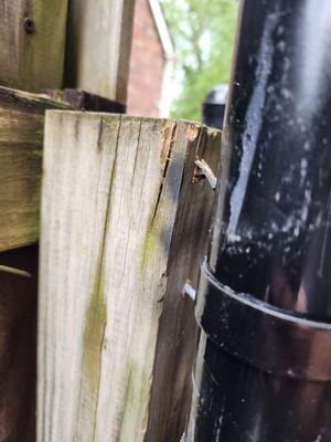 Damage isn't bad, but it's still damage to the neighbors fence. Plus the spray paint.