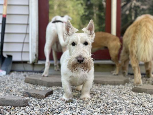 Sleepover fun with friends!