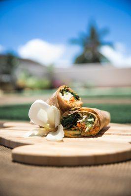 Yoga Under the Palms Kailua