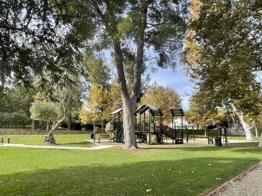 Big kid play structure. Lots of things to climb and slide down!