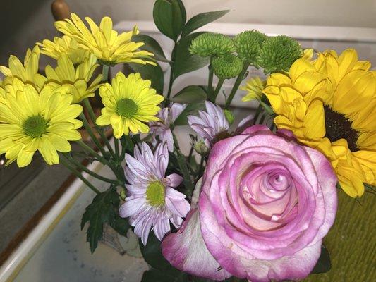 Couples Cleaning and Maintenance