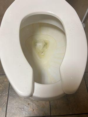 The Nest Pub & Grill