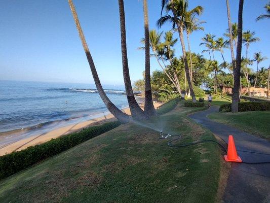 Wailea Beach Path