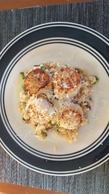 Bud's diver scallops with mushroom risotto