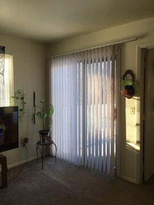 Living room, back porch door.