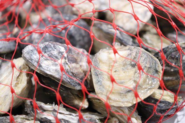 Farmers & Fishermen Purveyors