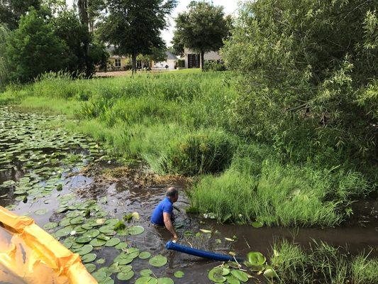 We use a water jet treatment to take away the plants straight from the roots