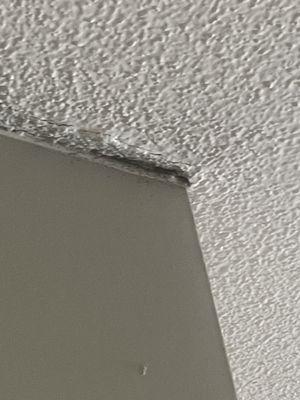 Winner Place Apartments