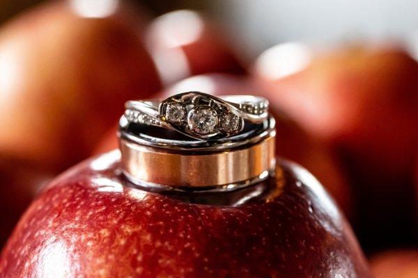 Michael Rhodes Photography