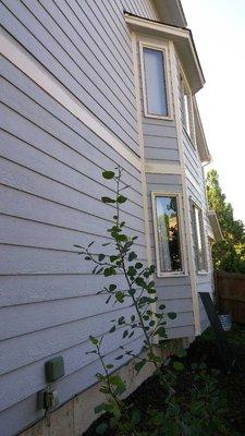 Kalieidoscope Painting