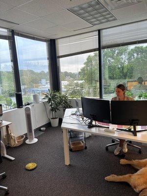 Georgia Financial Advisors