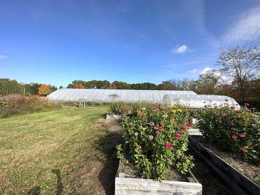 Learning 4 Life Farm