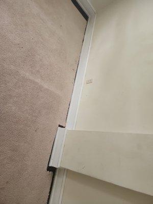 Tasha's Steamy Cleaner