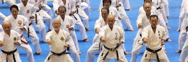 Goju Ryu is not a sport, it is an ancient bujutsu which is practiced for life.