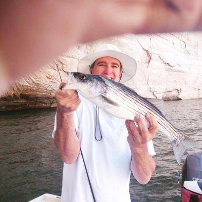 Stripers are looking good