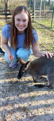 Pawsitive Animal Encounters