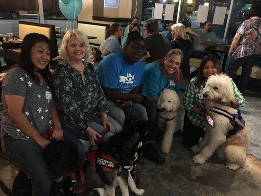 A Pawsitive Approach Dog Training