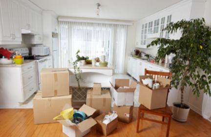 Gigi's Cleaning Service