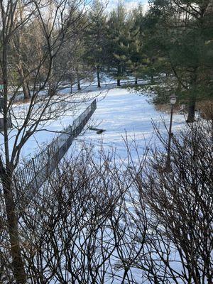 The first time we confirmed it must be the dry well and not a "natural" forming puddle. This is when I informed Ryan.