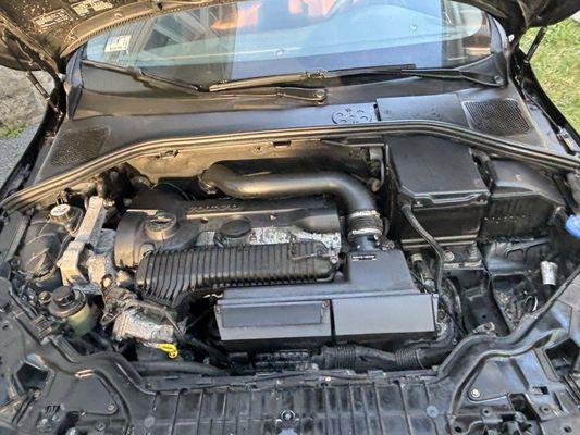 Y Guys Auto Detailing