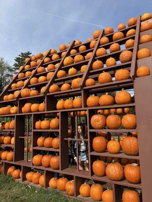 pumpkin house