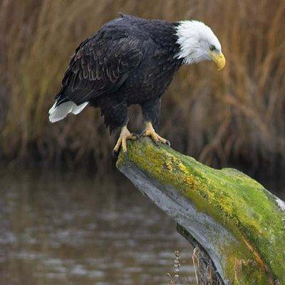 Riverland Cabins and Campground