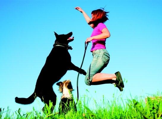 Fetch! Pet Care
