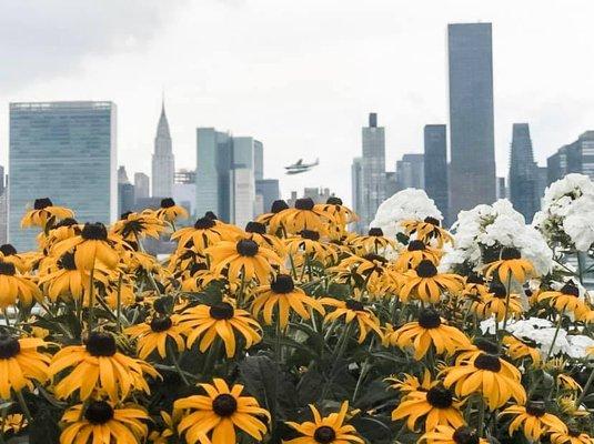 Linear Environmental