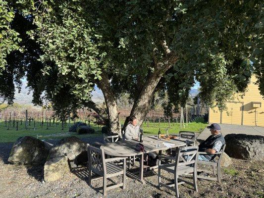 Chatting and sipping under a beautiful cork tree
