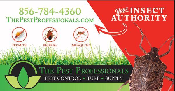 The Pest Professionals