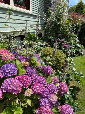 Sanchez Clean Scape Services