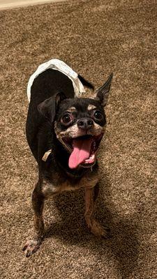 Covina Palms Apartments