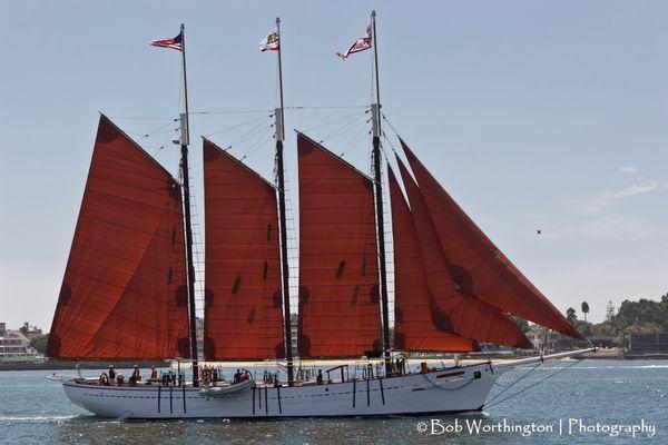 Festival of Sail