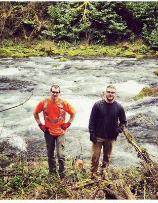 Sutherland Tree Specialist