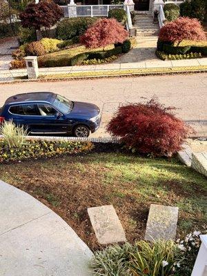 Front yard after summer treatment