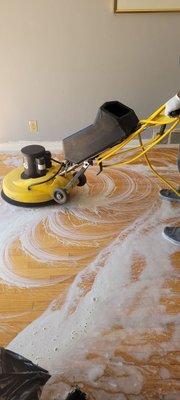 Anthony Cleaning Services