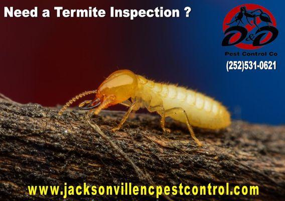 D & D Pest Control & Home Inspection Services