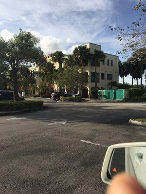 Diana Wohlstein, DMD