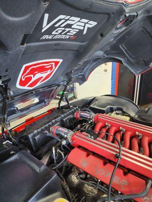 New Evolution Motors