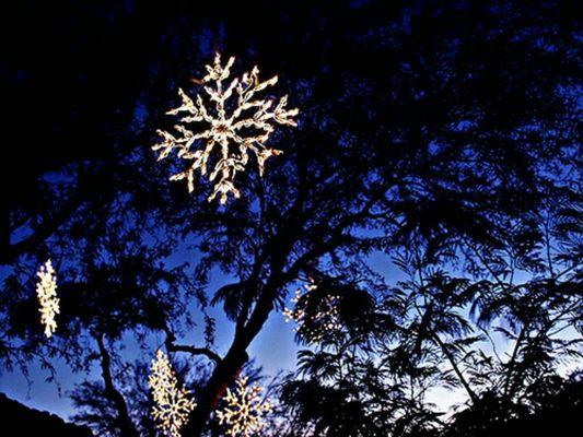 Holiday Christmas Lighting Orlando