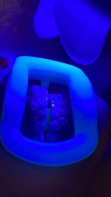 Boss Lady Beauty Palace