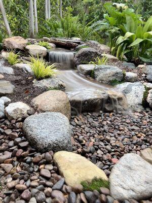 Water Garden Specialists